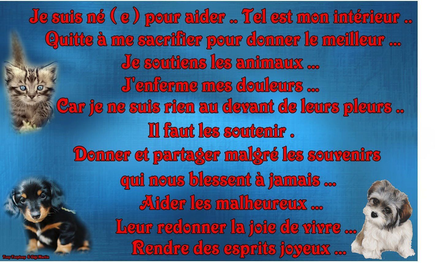 Exposé Sur La Maltraitance Des Animaux Pdf
